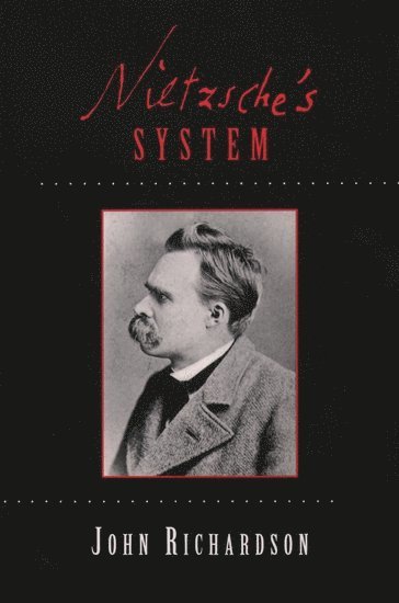 bokomslag Nietzsche's System