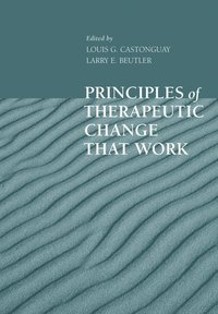 bokomslag Principles of Therapeutic Change That Work