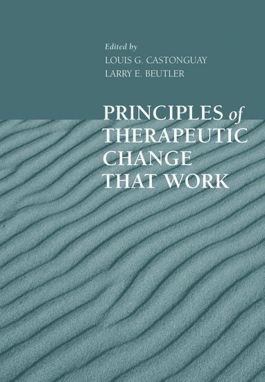 bokomslag Principles of Therapeutic Change That Work