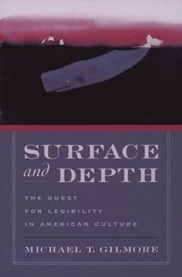 bokomslag Surface and Depth