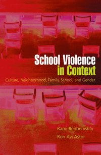 bokomslag School Violence in Context