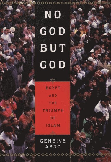 Geneive Abdo - No God but God, Häftad