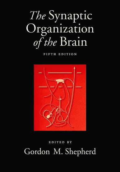 The Synaptic Organization of the Brain 1