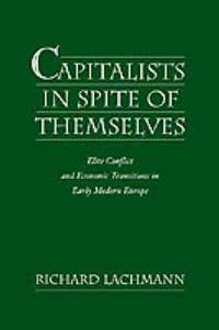 bokomslag Capitalists in Spite of Themselves