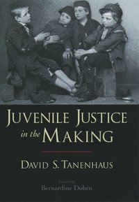 bokomslag Juvenile Justice in the Making