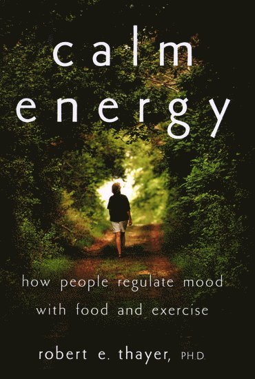 bokomslag Calm Energy