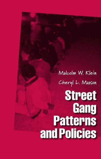 bokomslag Street Gang Patterns and Policies