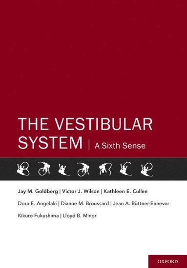 bokomslag The Vestibular System