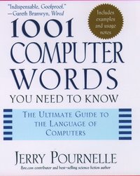 bokomslag 1001 Computer Words You Need to Know