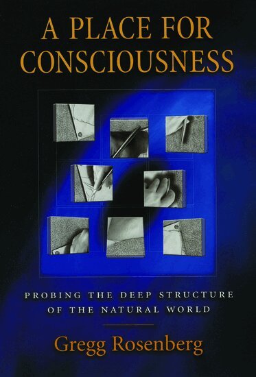 Gregg H. Rosenberg, David J. Chalmers - A Place for Consciousness, Inbunden