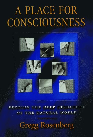 A Place for Consciousness 1