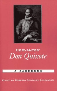 bokomslag Cervantes' Don Quixote
