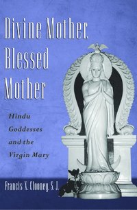 bokomslag Divine Mother, Blessed Mother
