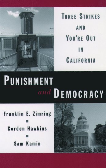 bokomslag Punishment and Democracy