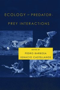 bokomslag Ecology of Predator-Prey Interactions