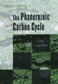 bokomslag The Phanerozoic Carbon Cycle