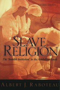bokomslag Slave Religion