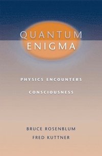 bokomslag Quantum Enigma