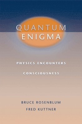 bokomslag Quantum Enigma