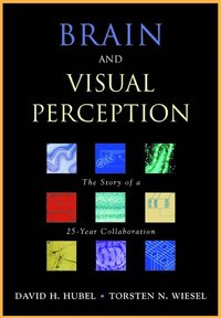 bokomslag Brain and Visual Perception
