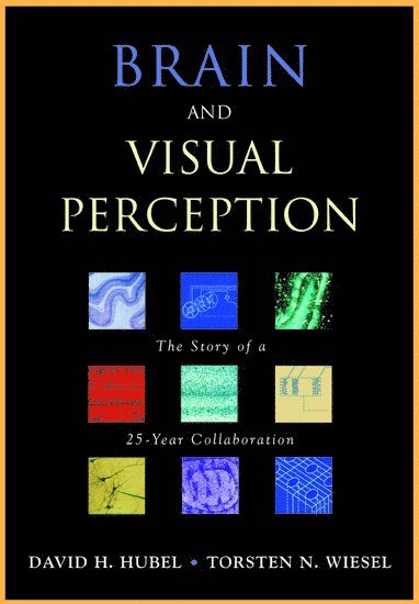 Brain and Visual Perception 1