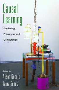 bokomslag Causal Learning