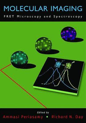 bokomslag Molecular Imaging