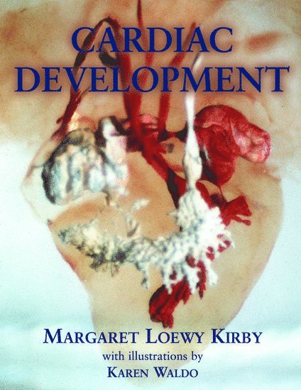 Cardiac Development 1