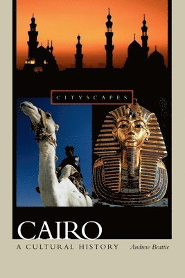 Cairo: A Cultural History 1