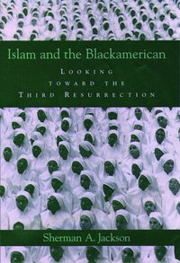 bokomslag Islam and the Blackamerican