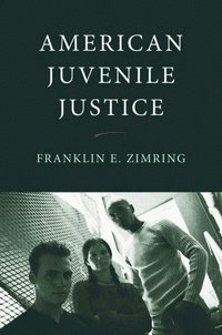 bokomslag American Juvenile Justice