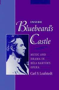 bokomslag Inside Bluebeard's Castle