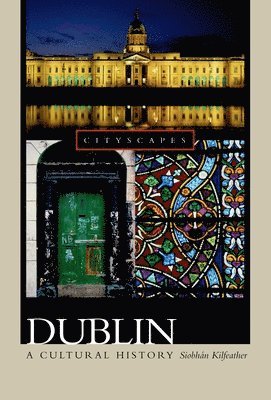 Dublin: A Cultural History 1