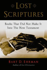 bokomslag Lost Scriptures