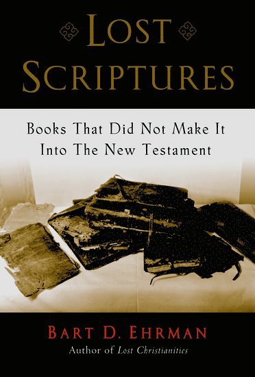 bokomslag Lost Scriptures
