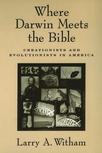 bokomslag Where Darwin Meets the Bible