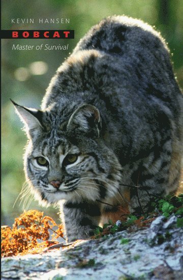 bokomslag Bobcat