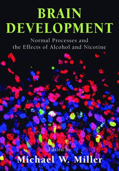 bokomslag Brain Development