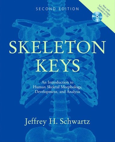 bokomslag Skeleton Keys