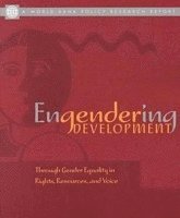 bokomslag Engendering Development