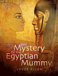 bokomslag The Mystery of the Egyptian Mummy