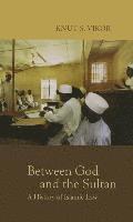 Between God and the Sultan: A History of Islamic Law 1