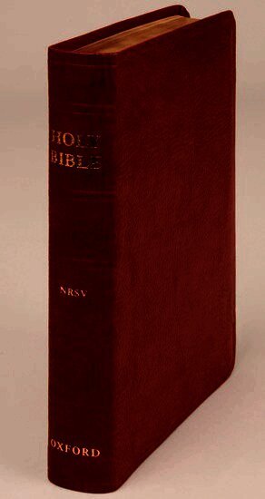 New Revised Standard Version Bible
