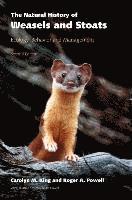 bokomslag The Natural History of Weasels and Stoats