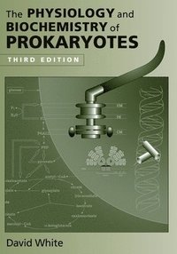 bokomslag The Physiology and Biochemistry of Prokaryotes