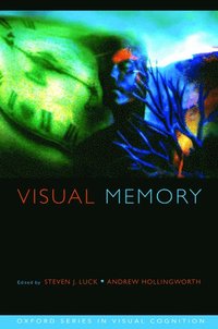 bokomslag Visual Memory