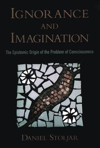 bokomslag Ignorance and Imagination
