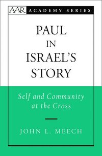 bokomslag Paul in Israel's Story