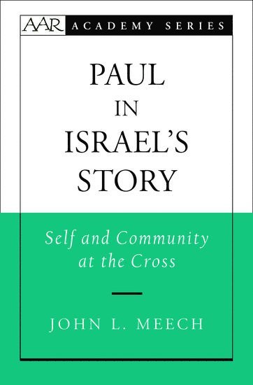 bokomslag Paul in Israel's Story
