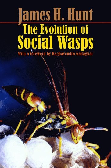 bokomslag The Evolution of Social Wasps